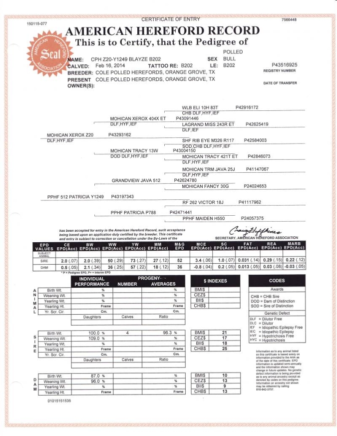 Blayze Registration