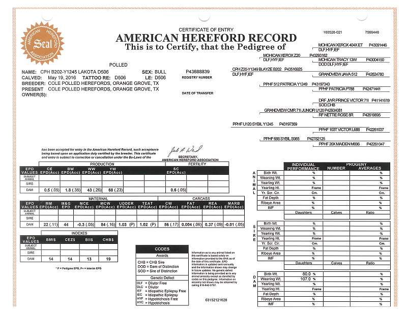 CPH B202-Y1245 Lakota D506 Registration