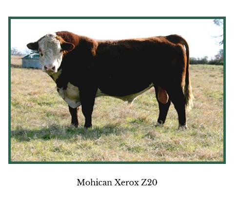 Mohican Xerox Z20